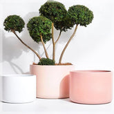 Kent Cylinder - Mediterranean Landscape- The Mob Collective